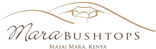 logo mara bushtops camps